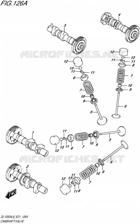 NOKKENAS - VALVES Suzuki MOTO 1000 V-STROM 2016  DL1000A L6 (E21)