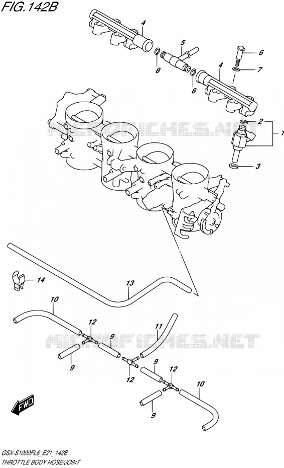 GASKLEPHUIS (GSX-S1000FUFL6 E21) Suzuki MOTO 1000 GSX-S 2016  GSX-S1000FUF L6 (E21)