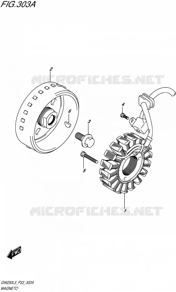 ONTSTEKING Suzuki MOTO 250 INAZUMA 2015  GW250 L5 (P03,P28,P33)