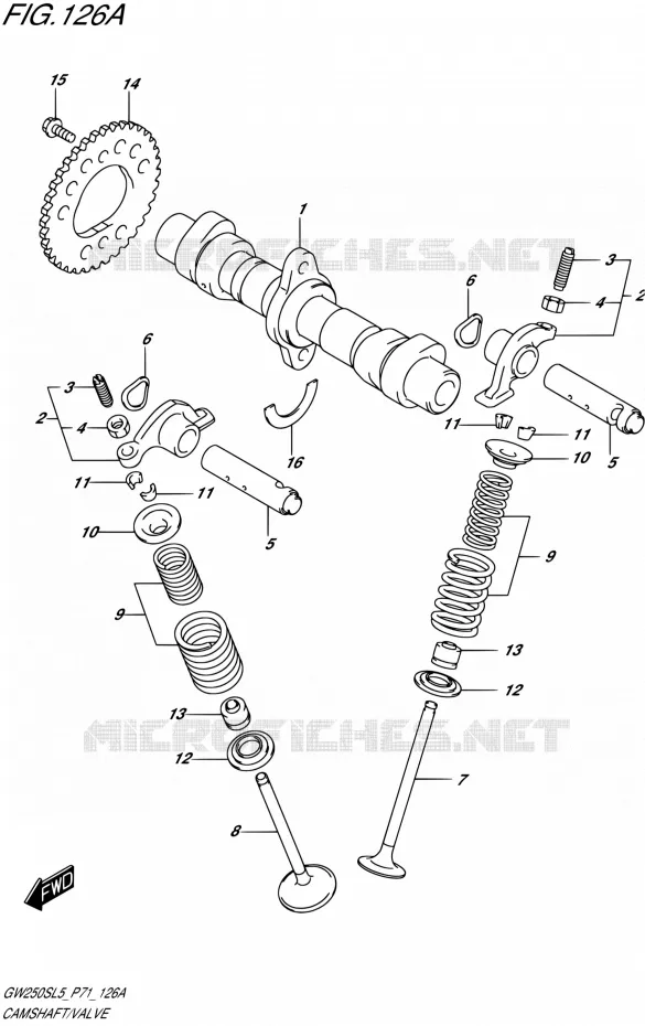 NOKKENAS - VALVES Suzuki MOTO 250 INAZUMA 2015  GW250S L5 (P71)