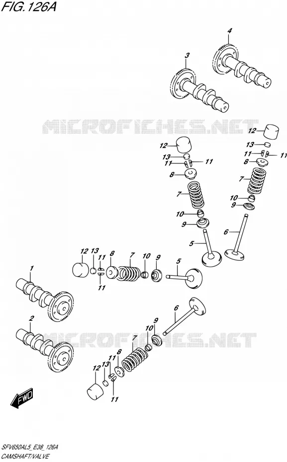 NOKKENAS - VALVES Suzuki MOTO 650 GLADIUS 2015  SFV650A L5 (E38)