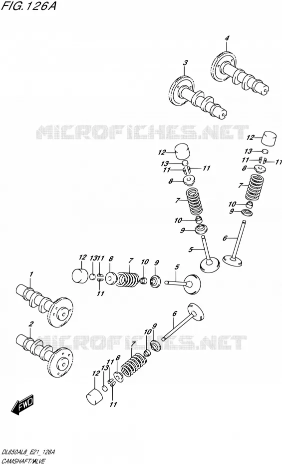 NOKKENAS - VALVES Suzuki MOTO 650 V-STROM 2018  DL650XAL8 E21