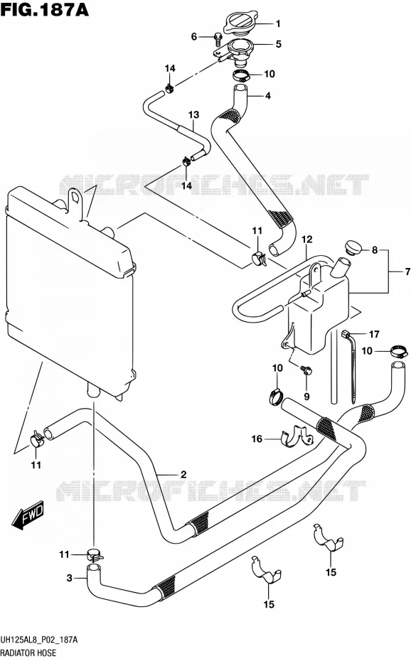 RADIATOR SLANG Suzuki SCOOTER 125 BURGMAN 2018  UH125AL8 P02
