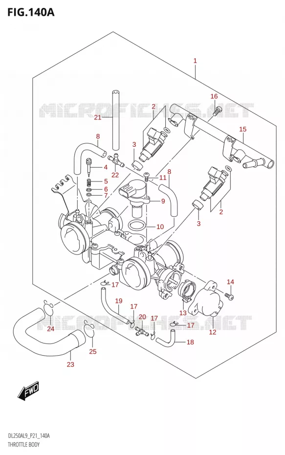 GASKLEPHUIS Suzuki MOTO 250 V-STROM 2019  DL250A L9 (P21)