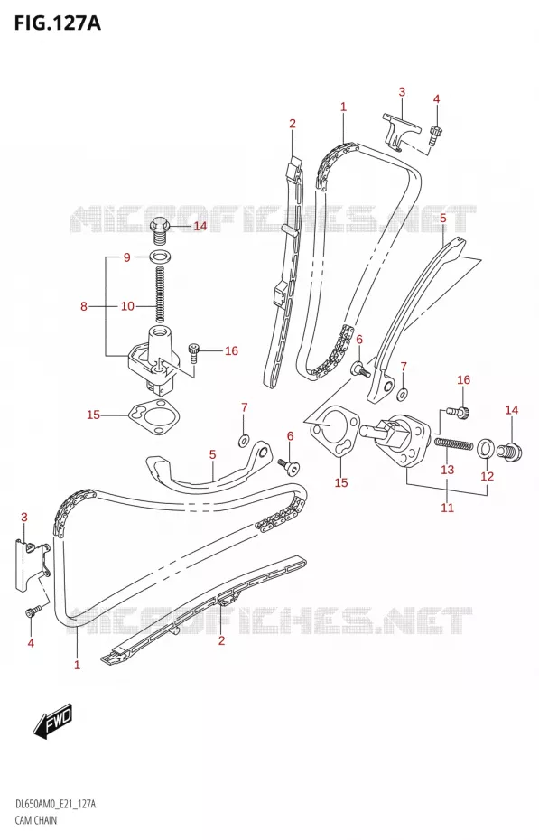 TIMING Suzuki MOTO 650 V-STROM 2020  DL650XA M0 (E21)