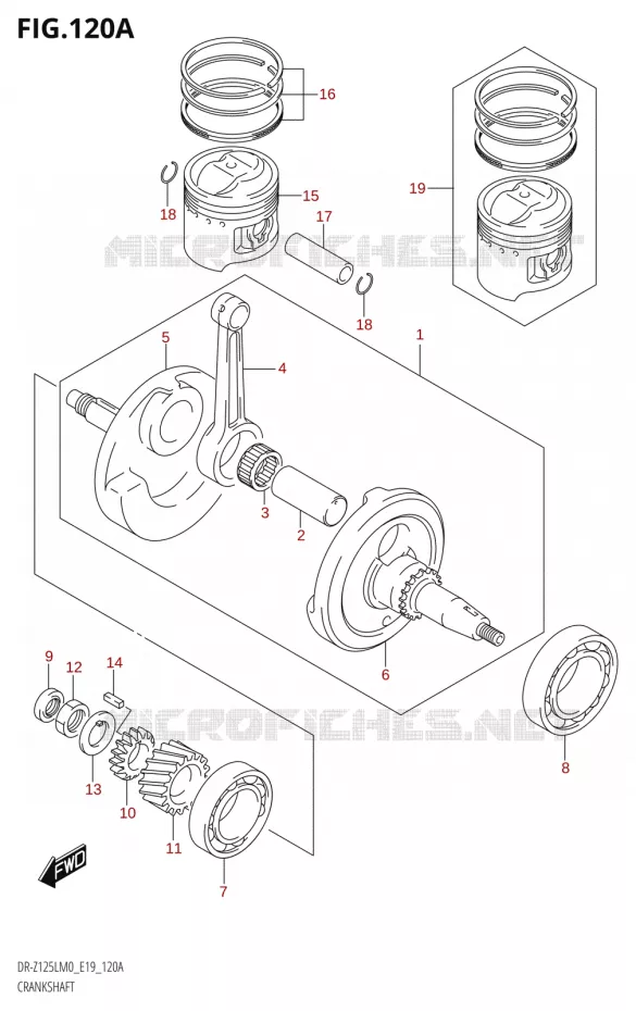 KRUKAS Suzuki MOTO 125 DR-Z 2020  DR-Z125L M0 (E19)