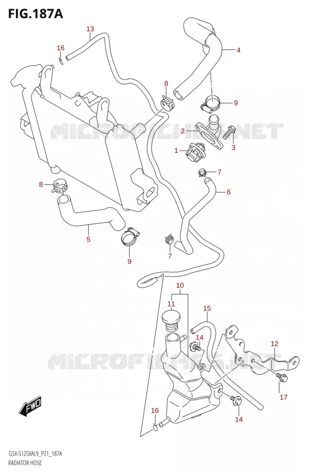 RADIATOR SLANG Suzuki MOTO 125 GSX-S 2019  GSX-S125XA L9 (P21)