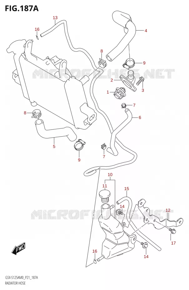 RADIATOR SLANG Suzuki MOTO 125 GSX-S 2020  GSX-S125A M0 / GSX-S125XA M0 (P21)