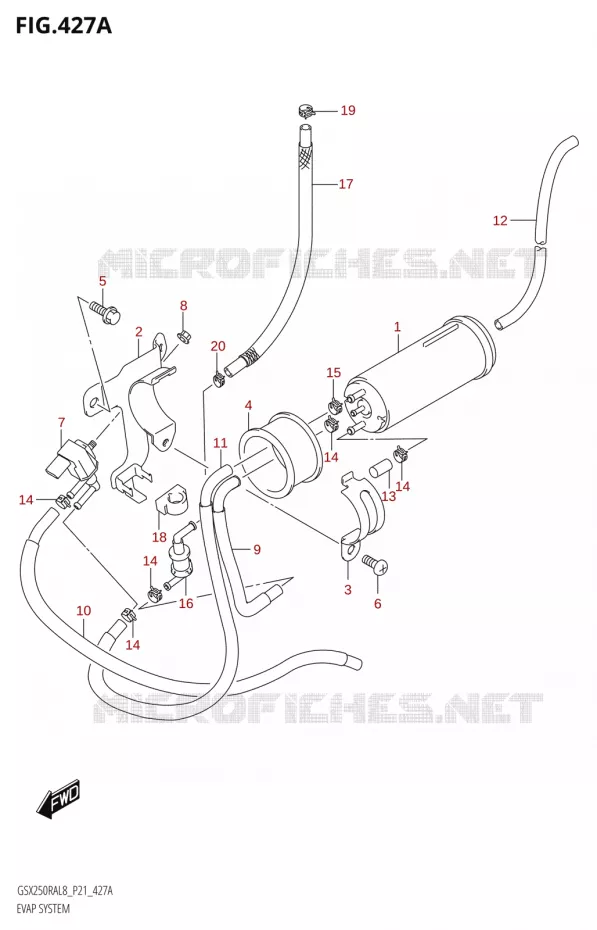 FUEL EVAP SYSTEM Suzuki MOTO 250 INAZUMA 2018  GW250RAZ L8 (P21)