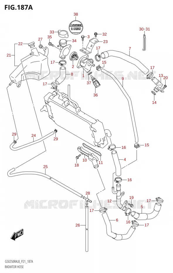RADIATOR SLANG - EXPANSIEVAT Suzuki MOTO 250 INAZUMA 2018  GW250RA L8 (P21)