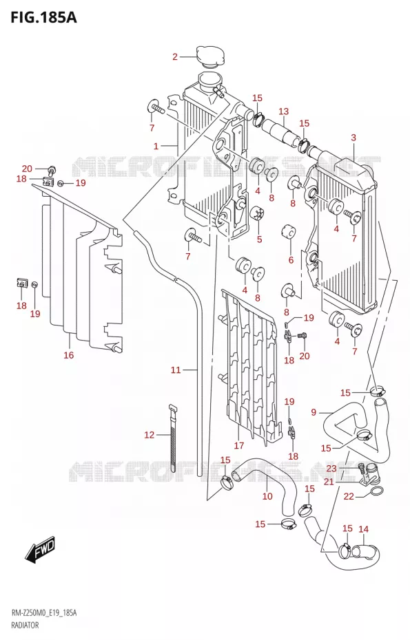 RADIATOR Suzuki MOTO 250 RM-Z 2020  RM-Z250 M0 (E19)