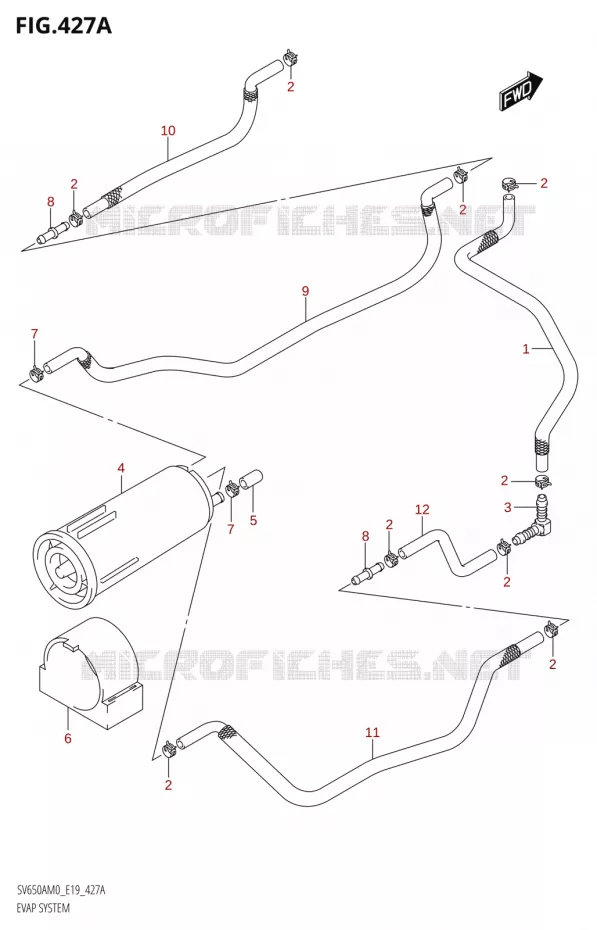 FUEL EVAP SYSTEM Suzuki MOTO 650 SV 2020  SV650A (E19)