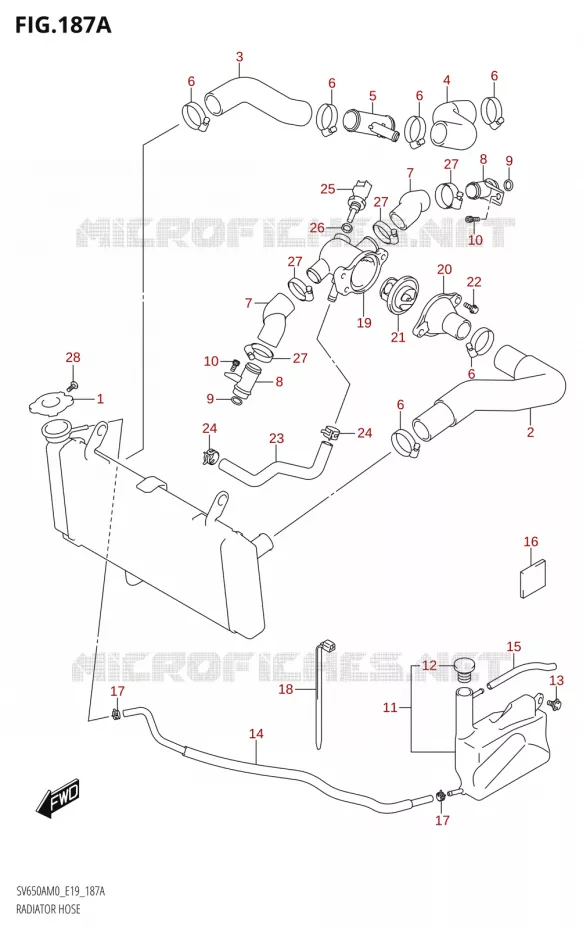 RADIATOR SLANG Suzuki MOTO 650 SV 2020  SV650A (E19)