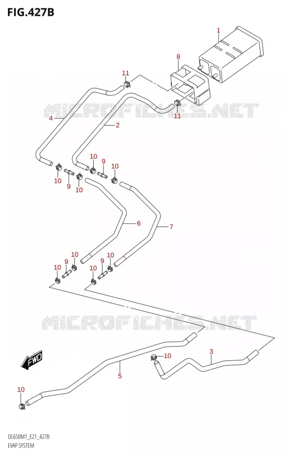 FUEL EVAP SYSTEM Suzuki MOTO 650 V-STROM 2021  DL650A M1