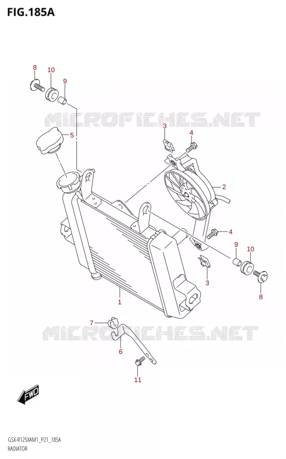 RADIATOR Suzuki MOTO 125 GSX-R 2021  GSX-R125XA M1 (P21)
