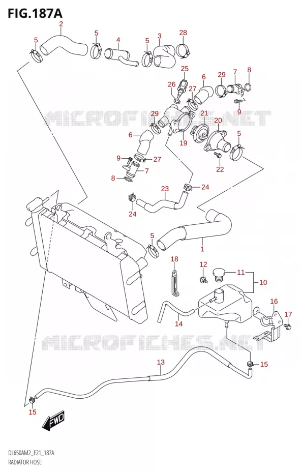 RADIATOR SLANG Suzuki MOTO 650 V-STROM 2022  DL650XA M2 (E21)