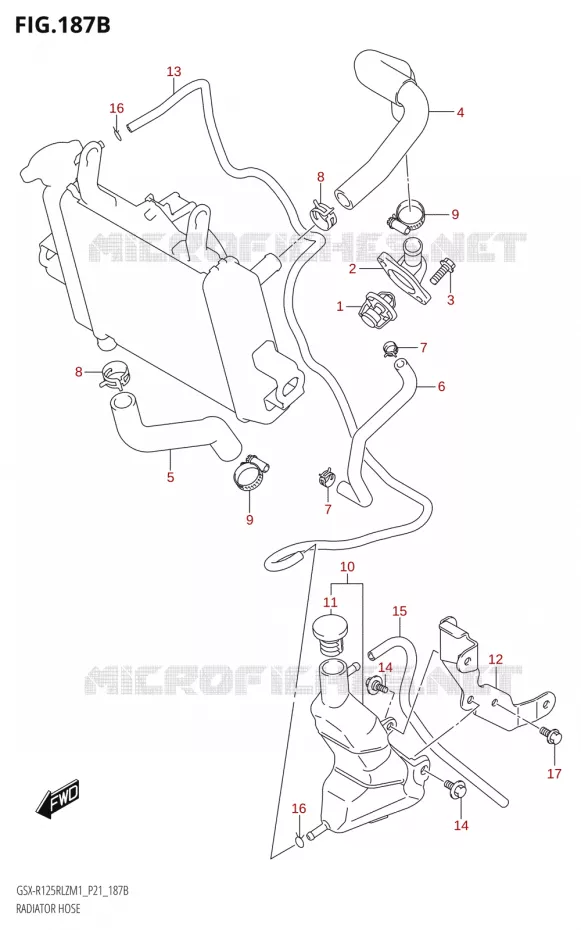 RADIATOR SLANG Suzuki MOTO 125 GSX-R 2021  GSX-R125RLZ M1 (P21)