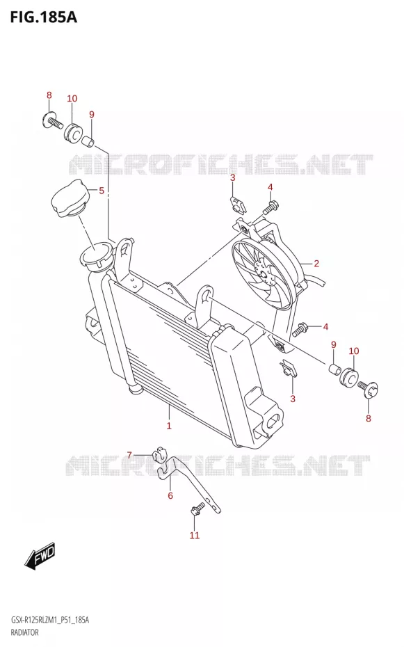 RADIATOR Suzuki MOTO 125 GSX-R 2021  GSX-R125RLZ M1 (P51)
