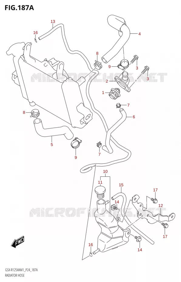 RADIATOR SLANG Suzuki MOTO 125 GSX-R 2021  GSX-R125XA M1 (P24)