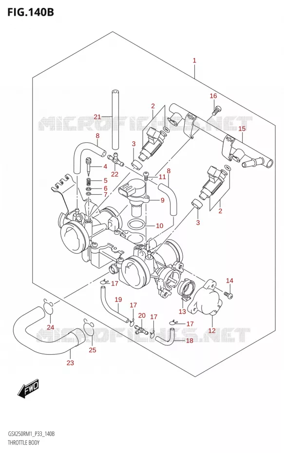 GASKLEPHUIS Suzuki MOTO 250 GSX-R 2021  GSX250R M1 (P33)