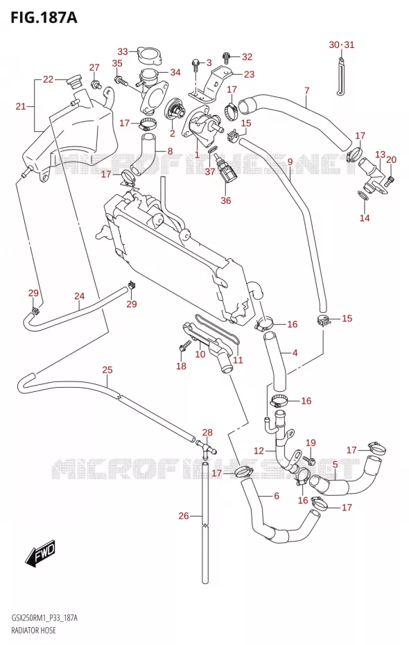 RADIATOR SLANG - EXPANSIEVAT Suzuki MOTO 250 GSX-R 2021  GSX250R M1 (P33)