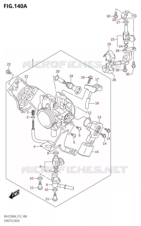 GASKLEPHUIS Suzuki MOTO 250 RM-Z 2024  RM-Z250 M4 (E19)