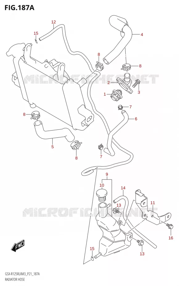 RADIATOR SLANG - EXPANSIEVAT Suzuki MOTO 125 GSX-R 2023  GSX-R125RLX M3 (P21)