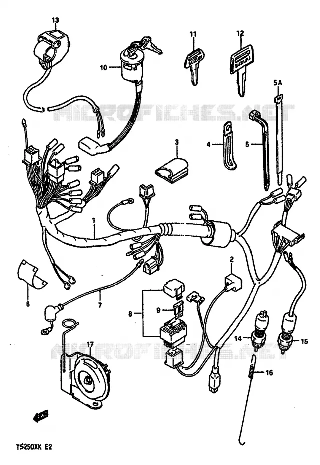 BEDRADING Suzuki MOTO 250 TS-X 1986  TS250XG(E/G/H/J/K)