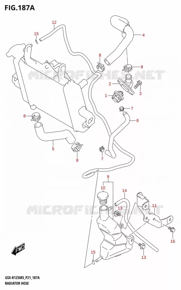 RADIATOR SLANG - EXPANSIEVAT Suzuki MOTO 125 GSX-R 2025  GSX-R125RL 2025 M5 (P21)