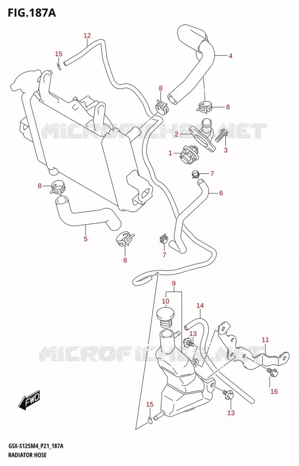 RADIATOR SLANG - EXPANSIEVAT Suzuki MOTO 125 GSX-S 2024  GSX-S125RL / GSX-S125RLX M4 (P21)
