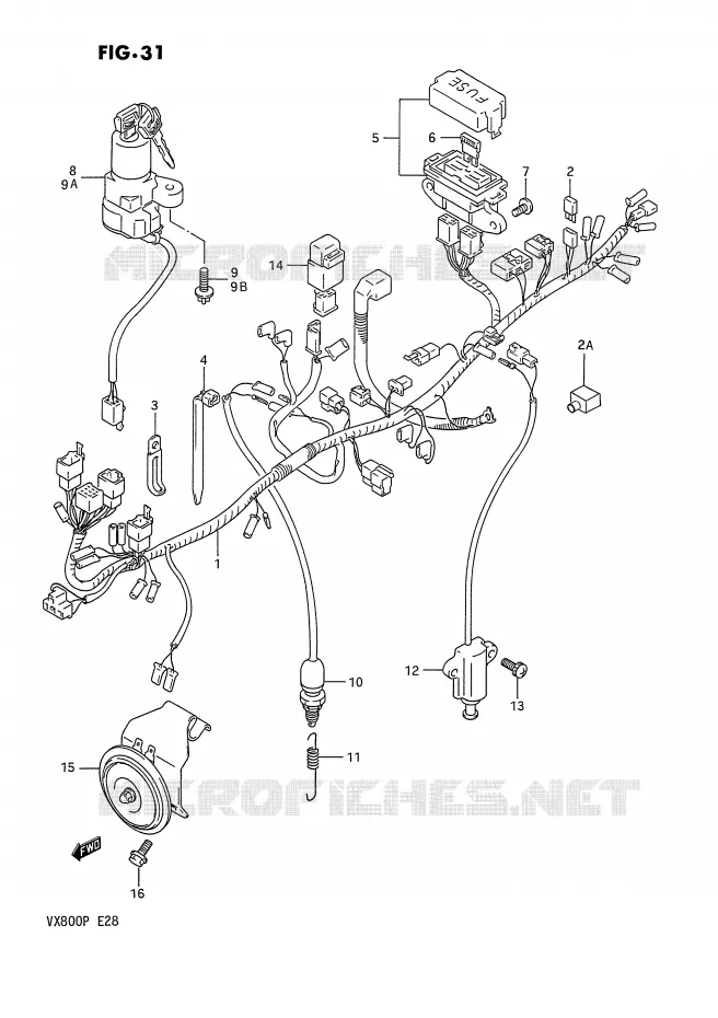 BEDRADING Suzuki MOTO 800 VX 1991  VX800M(E28)