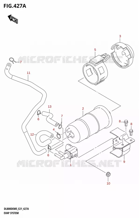 FUEL EVAP SYSTEM Suzuki MOTO 800 V-STROM 2025  DL800DERC 2025 M5 (E21)