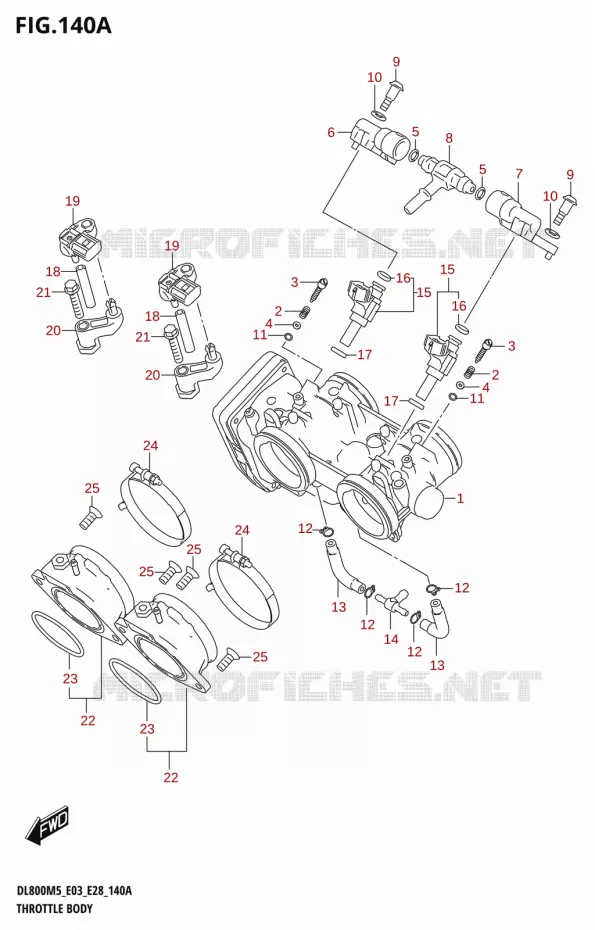 GASKLEPHUIS Suzuki MOTO 800 V-STROM 2025  DL800RQ 2025 M5 (E28)