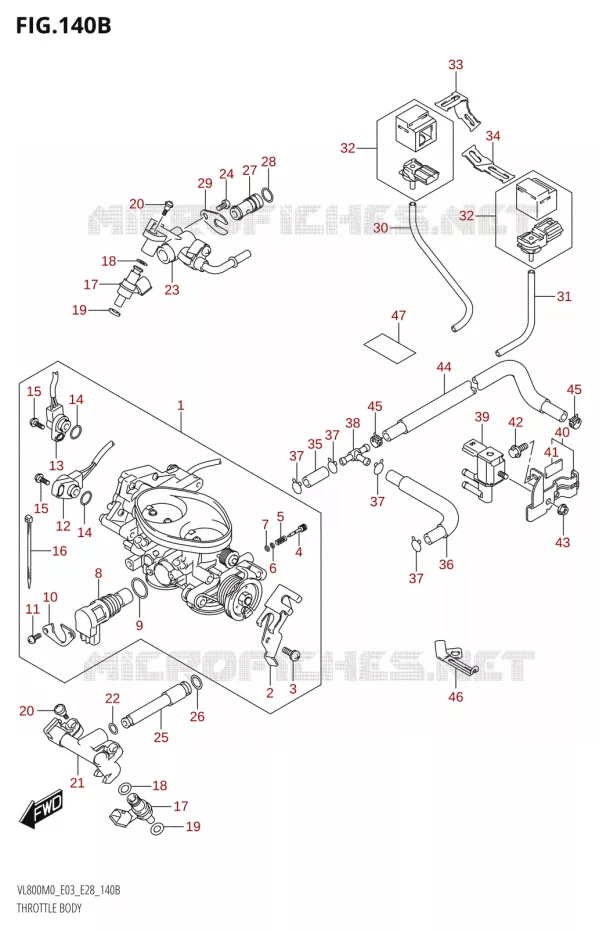 GASKLEPHUIS (E33) Suzuki MOTO 800 BOULEVARD 2020  VL800 2020 M0 (E28)