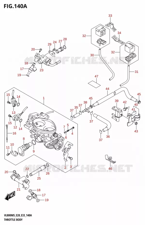 GASKLEPHUIS Suzuki MOTO 800 BOULEVARD 2025  VL800 2025 M5 (E28)