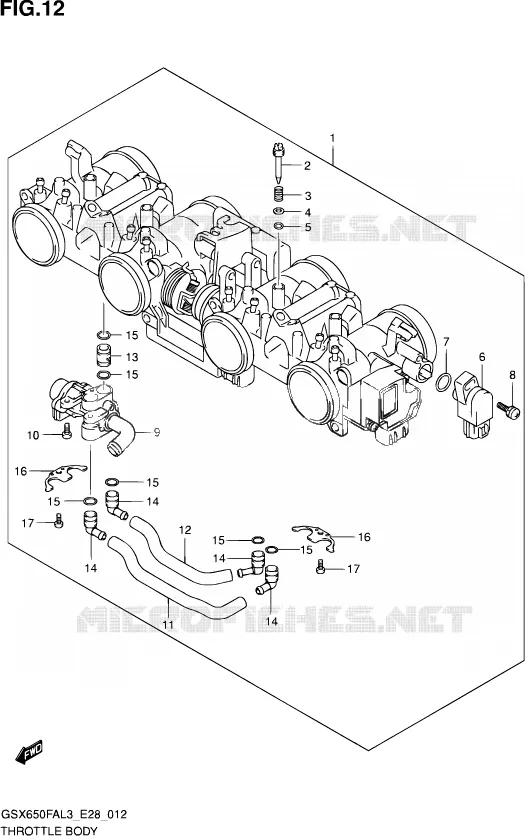 GASKLEPHUIS Suzuki MOTO 650 GSX-F 2013  GSX650FA L3