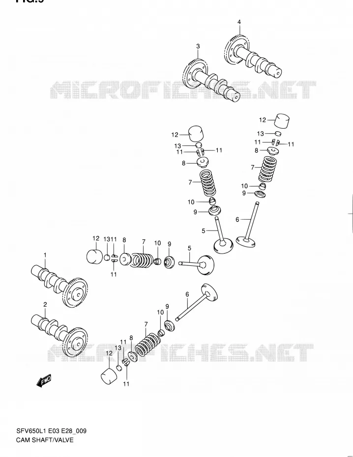 NOKKENAS - VALVES Suzuki MOTO 650 GLADIUS 2011  SFV650A L1 (E03,E28,E33)