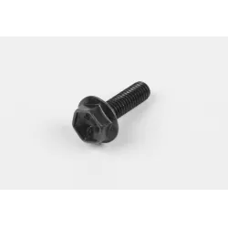 BOLT