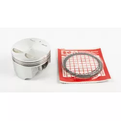 PISTON SET 0.5