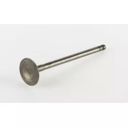 SOUPAPE D'ADMISSION GSF/GSX600