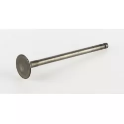 SOUPAPE D'ECHAPPEM. GSF/GSX600