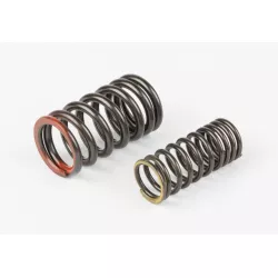 VALVE SPRING SET