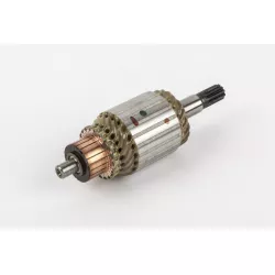 ROTOR DE DEMARREUR GS500/R750