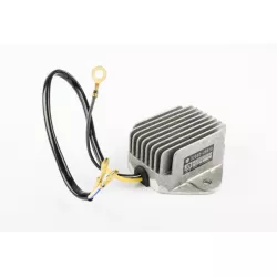 REGULATEUR VOLTAGE