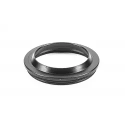 BAGUE POUSSIERE DE FOURCHE