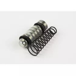 PISTON/CUP SET