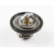 THERMOSTAT,WATER