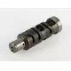 CAME<br />CAM, GEAR SHIFT